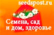 seedspost.ru Семена, сад и дом, здоровье
